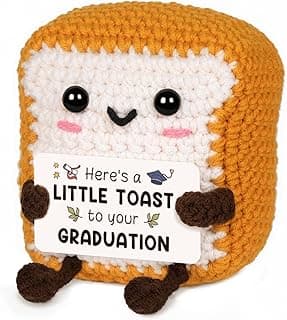 2026 Graduation Gift for College, High School Grads - Funny Handmade Positive Crochet Toast for Graduation Decorations, Best Inspirational Graduate Gift for Her or Him