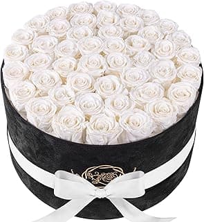 Prifroti 47 Flowers in a Luxury Suede Box, Birthday Gifts for Women, Preserved Flowers, Mothers Day Roses Gift for Mom, Pure White