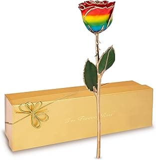 Forever Rose Rainbow Real Rose Dipped in 24K Gold with Gold-Trimmed Petals and Stem, Handcrafted Preserved Rose in Luxury Gift Box, Romantic Gift for Her