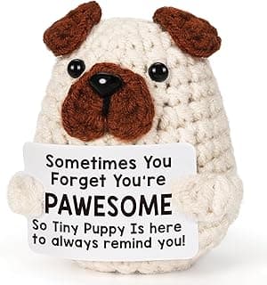 Lodeskee Positive Affirmations Decor Signs Valentines Day Gifts for Women Friend, Emotional Inspirational Support Handmade Crochet Presents for Dog Lover, Encouragement Support Small Desk Decoration