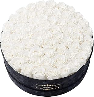 Gifts for Women – NATROSES 60 Preserved Roses in Luxury Black Velvet Box, Preserved Flowers for Delivery Gift for Her, Elegant Rose for Birthday, Mother’s Day, Christmas (White)