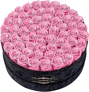 Gifts for Women – NATROSES 60 Preserved Roses in Luxury Black Velvet Box, Preserved Flowers for Delivery Gift for Her, Elegant Rose for Birthday, Mother’s Day, Christmas (Pink)