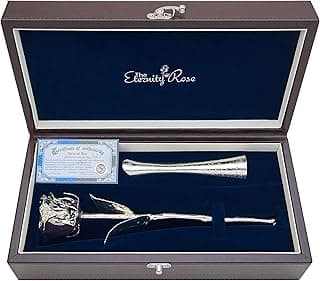 The Eternity Rose Silver Dipped Rose with Matching Vase, 25th Wedding Anniversary, Romantic Gifts for Her, 11.5", Memorial Day, Valentine's Day Gift