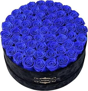 Gifts for Women – NATROSES 60 Preserved Roses in Luxury Black Velvet Box, Preserved Flowers for Delivery Gift for Her, Elegant Rose for Birthday, Mother’s Day, Christmas (Royal Blue)