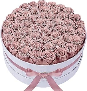 50 Piece Roses in a Velvet Box, Flowers for Delivery, Presereved Flowers Birthday Gifts for Women Mom and Wife (Dusty Rose)